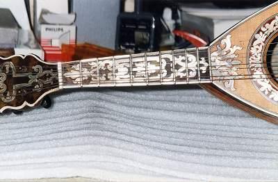 Fingerboard detail of Vinaccia Mandolin